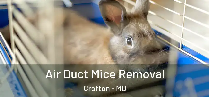 Air Duct Mice Removal Crofton - MD