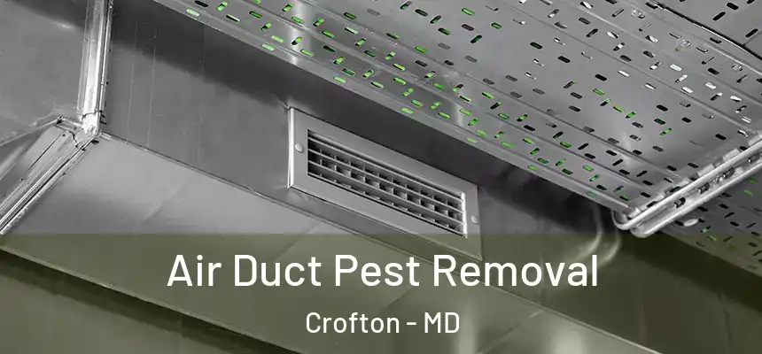 Air Duct Pest Removal Crofton - MD
