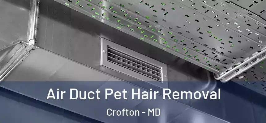 Air Duct Pet Hair Removal Crofton - MD