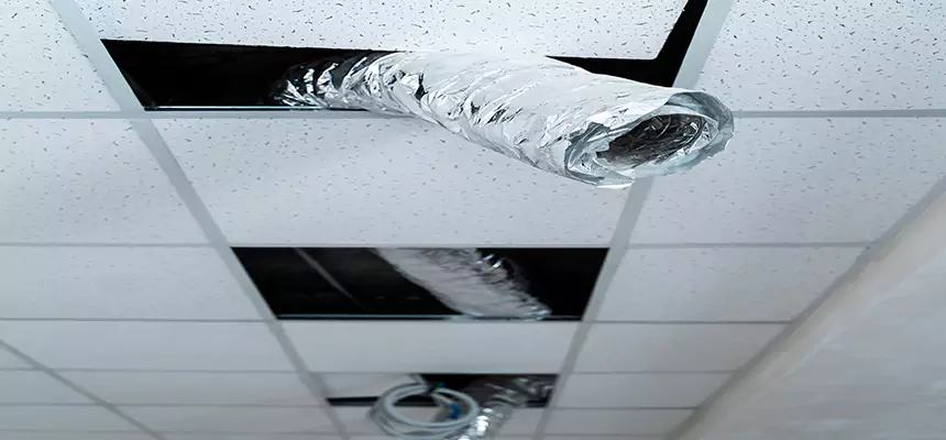 Our Air Duct Pet Hair Removal Services in Crofton, MD