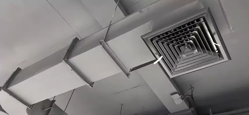 Restorative Allergy Relief Vent Cleaning – Coil, Blower & Housing Detail in Crofton