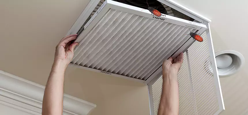 Our Insect Removal from Air Ducts Services in Crofton, MD