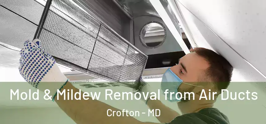Mold & Mildew Removal from Air Ducts Crofton - MD