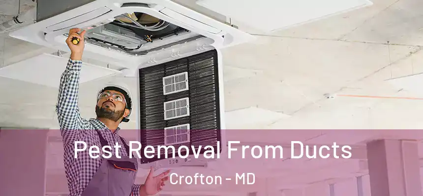 Pest Removal From Ducts Crofton - MD