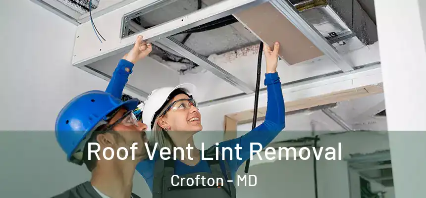  Roof Vent Lint Removal Crofton - MD