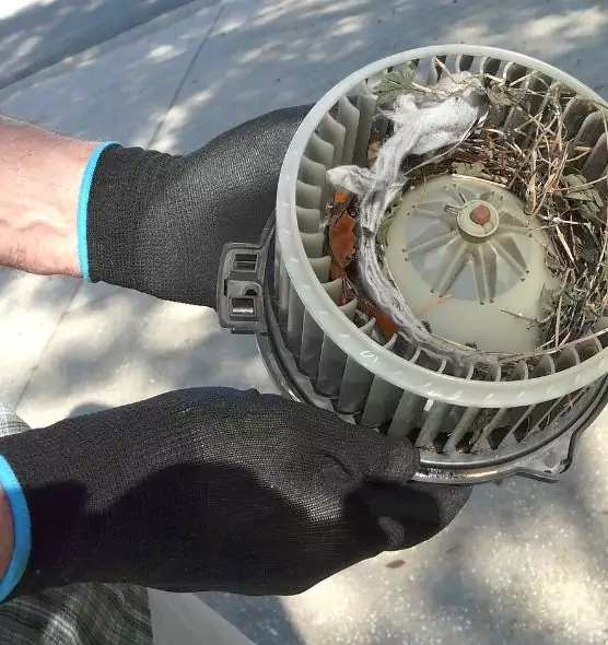 About Air Duct Rat Removal in Crofton, MD