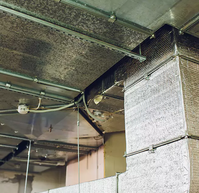 Why Homeowners & Businesses Trust Us in Crofton, MD?